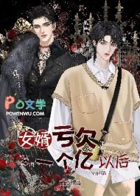 官场之高手过招女主