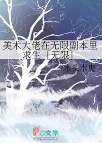 官场之高手过招良木水中游著
