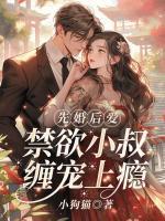 苏希顾景琛沈婉烟