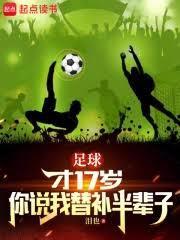 无名镇王阳一明阅读