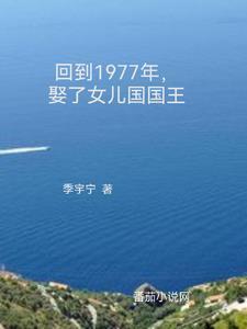 重返1987周卫国