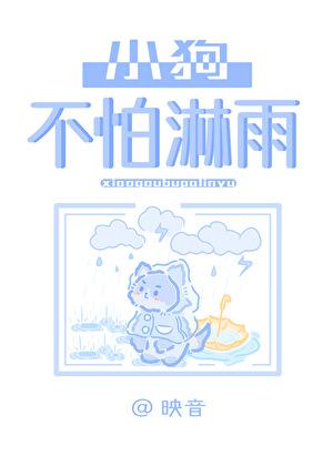 小狗不怕淋雨